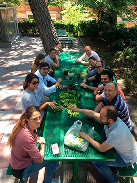 voluntariado corporativo 2 Voluntariado Social Corporativo Estudiar en Universidad Privada Madrid